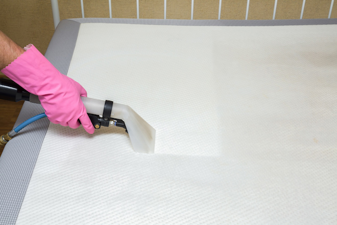 Dunwell Carpet Cleaning Carpet Cleaning Protection Launceston